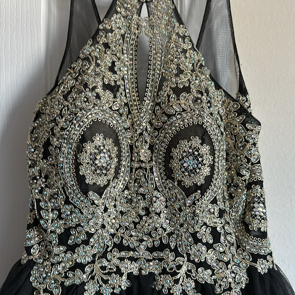 Gorgeous spring dance/prom dress short/ sequined bodice - Picture 7 of 9